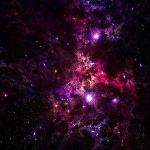 Meet your Posher, Corrine